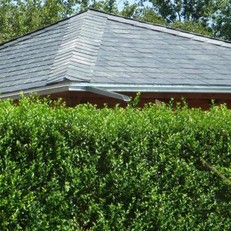 Dacheindeckung mit Naturschiefer